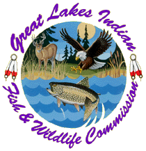 GLIFW Logo
