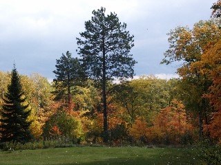 Pictures of Pilgrim's Rest